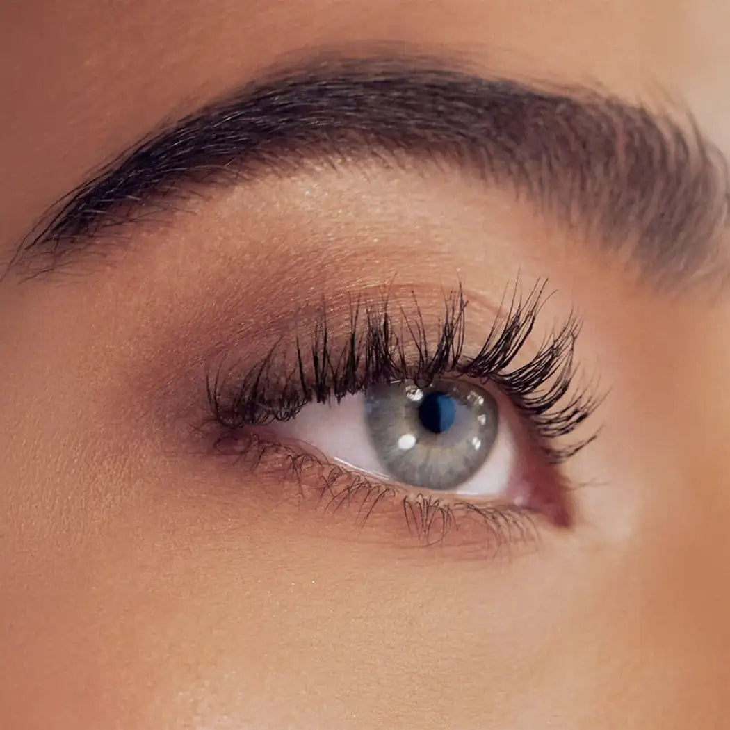 Harvey Ross - LashGlow Advanced